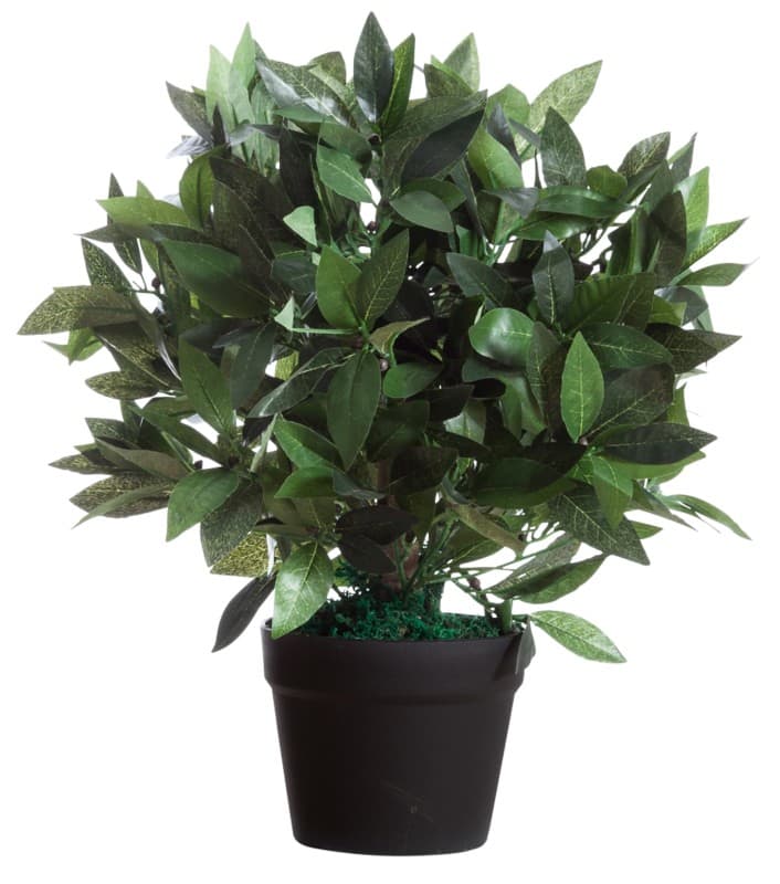 meet Le Laurel Kunstplant 50 cm Groen