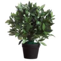meet Le Laurel Kunstplant 50 cm Groen
