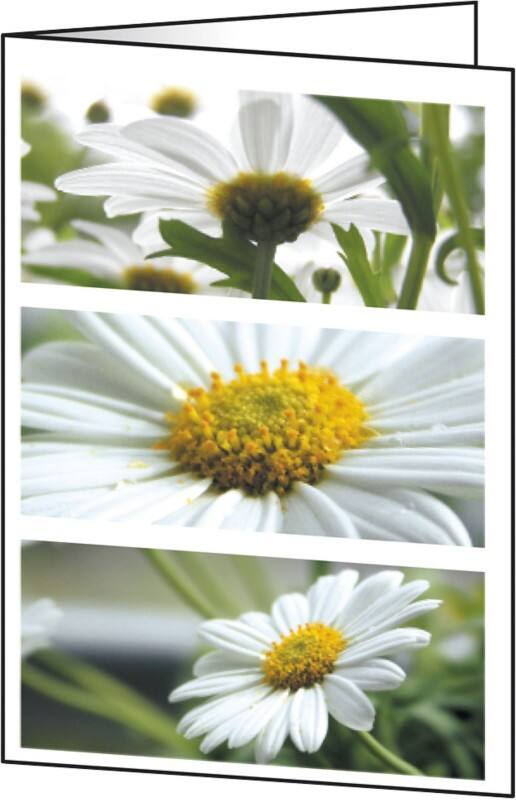 Sigel DC171 Wenskaarten A6 Glanzend 220 g/m² 10,5 x 14,8 cm Kleurenassortiment 25 Stuks