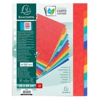 Exacompta Genuine Premium Pressboard 1 tot 12 Tabbladen  320 x 240 mm Kleurenassortiment Kleurenassortiment 12 tabs Gewafeld karton 18 Gaten 7034E 5 Stuks