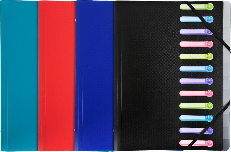 Exacompta Sorteermap Speciaal 12 tabs Kleurenassortiment 55180E 24 (B) x 32 (H) cm 10 Stuks