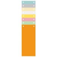 Exacompta Blanco Tabbladen Speciaal Kleurenassortiment Kleurenassortiment 100 tabs Karton 2 Gaten 13395B 1200 Stuks