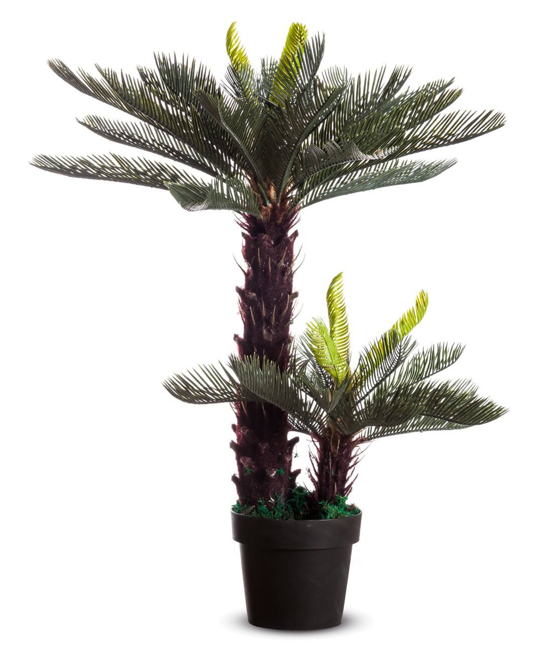 Paperflow Kunst Palm Zycas Polyethyleen 210 x 210 x 800 mm Groen