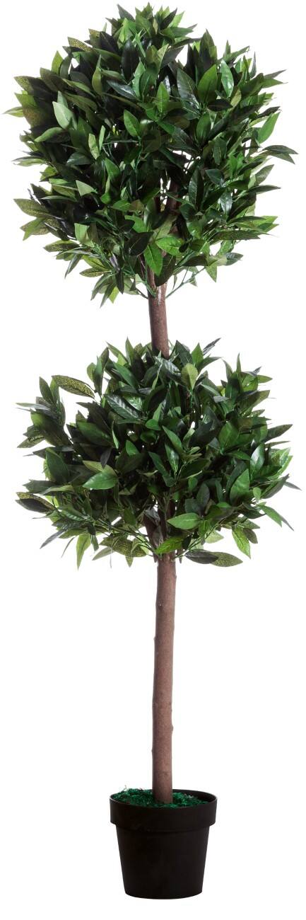 Paperflow Kunst Laurier Polyester 250 x 250 x 1650 mm Groen