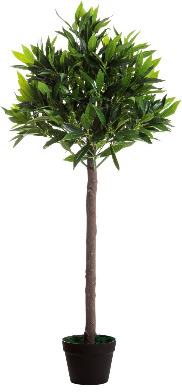 Paperflow Kunst Olijfboom Polyethyleen 190 x 19 x 1250 mm Groen