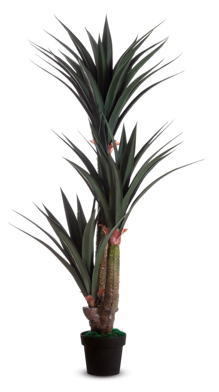 Paperflow Kunst Yucca Polyethyleen 220 x 220 x 1550 mm Groen