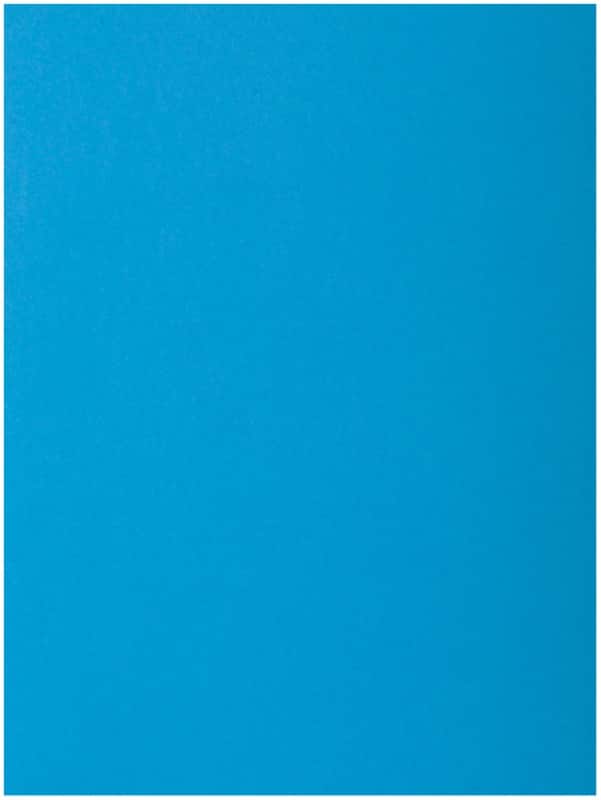 Exacompta 1-Flap map 218019E Blauw Karton 24 x 32 cm 250 Stuks