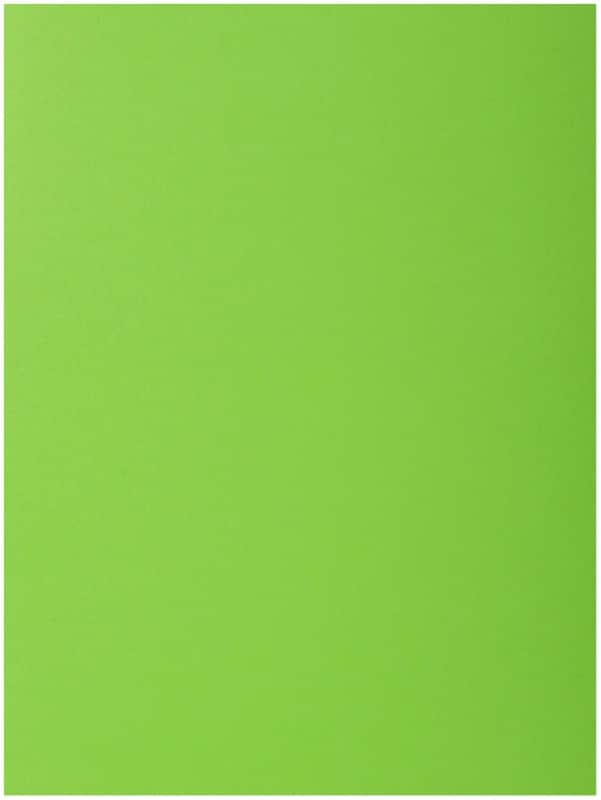 Exacompta 1-Flap map 218013E Groen Karton 24 x 32 cm 250 Stuks