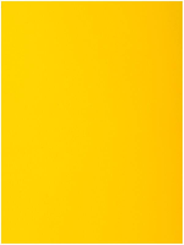 Exacompta 1-Flap map 218011E Geel Karton 24 x 32 cm 250 Stuks