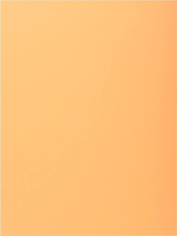 Exacompta 1-Flap map 339002E Licht oranje Karton 24 x 32 cm 250 Stuks