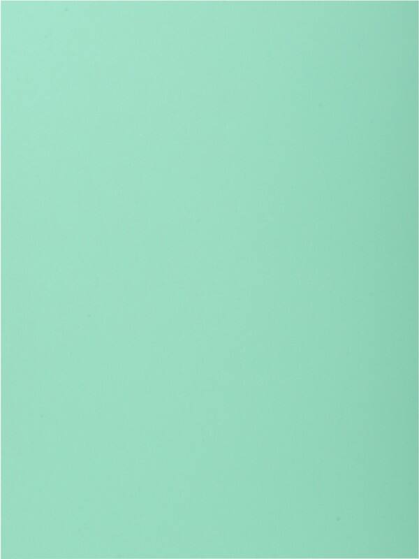 Exacompta 1-Flap map 339004E Lichtgroen Karton 24 x 32 cm 250 Stuks