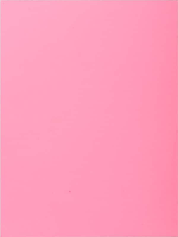 Exacompta 1-Flap map 339003E Roze Karton 24 x 32 cm 250 Stuks