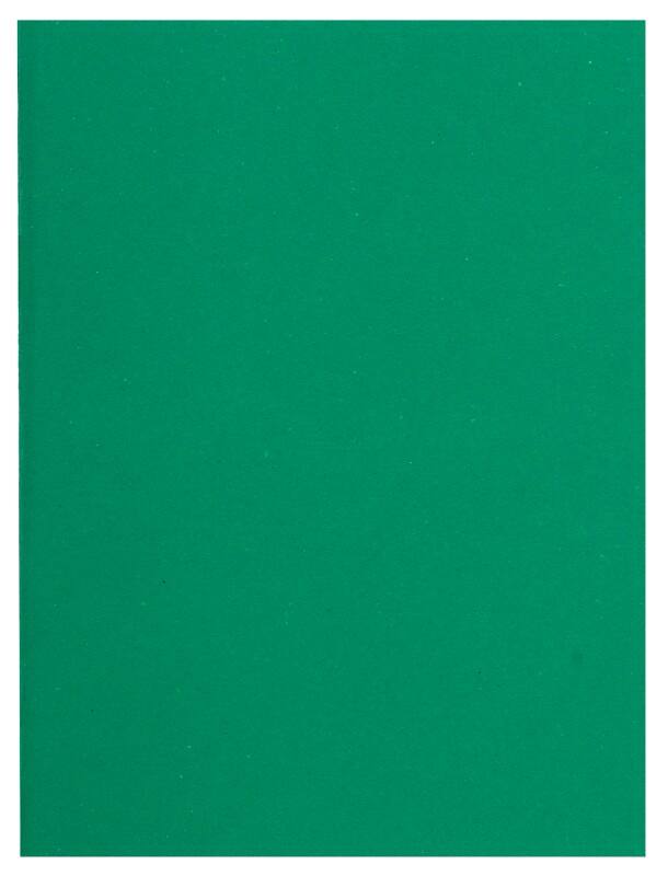 Exacompta Flash Dossiermap A4 Groen Manila 80 g/m² 1000 Stuks
