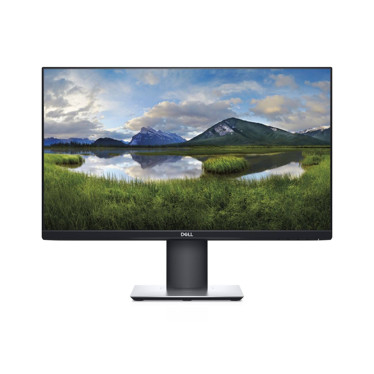 Dell LCD Monitor P2421D 61 cm (24 inch)