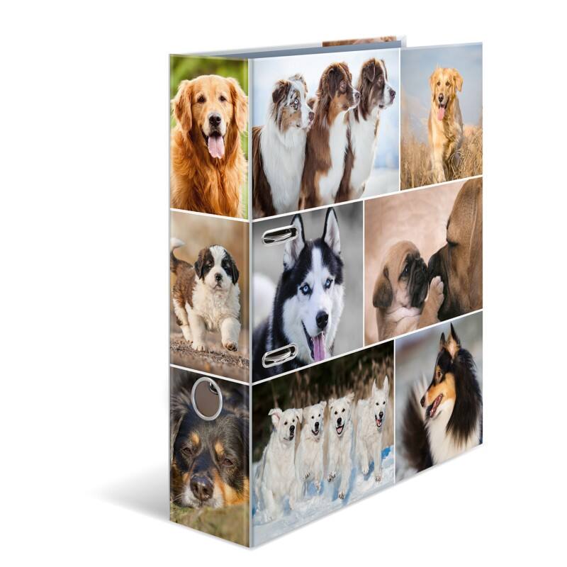 HERMA Motif Breed Ordner A4 70 mm Kleurenassortiment 2 Ringen 7165 Karton Glad Staand 10 Stuks