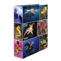 HERMA Animals Sea Creatures Ordner A4 70 mm Kleurenassortiment 2 ringen 7203 Karton Glad Staand 10 Stuks