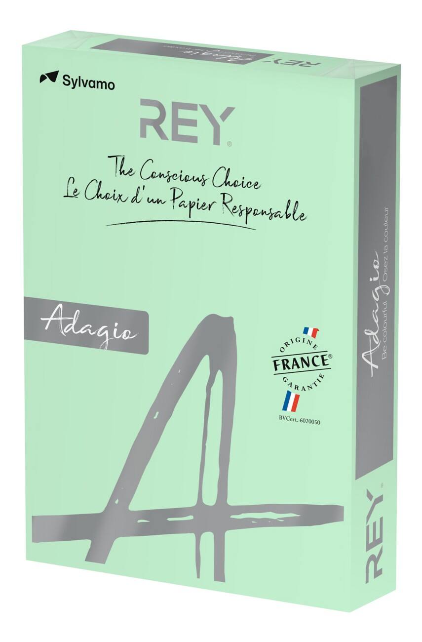Rey gekleurd print-/ kopieerpapier A4 120 gram Groen 250 vellen