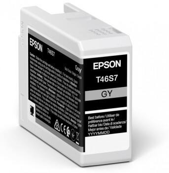 Epson Origineel Inktcartridge C13T46S700 Grijs 1
