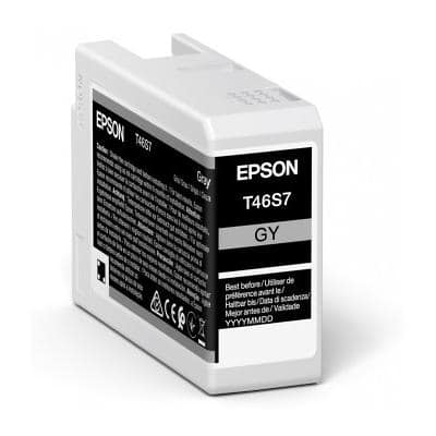 Epson Origineel Inktcartridge C13T46S700 Grijs 1