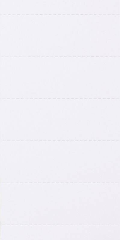 Ruiterstroken 1601 Wit Karton 2,1 x 6 cm 100 Stuks
