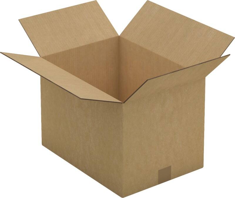 RAJA Verzenddoos Dubbele Wand Karton 310 (B) x 300 (D) x 430 (H) mm Bruin 10 Stuks
