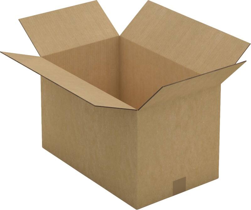 RAJA Verzenddoos Dubbele Wand Karton 310 (B) x 310 (D) x 500 (H) mm Bruin 15 Stuks