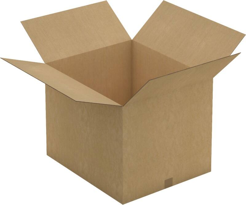 RAJA Verzenddoos Dubbele Wand Karton 550 (B) x 500 (D) x 650 (H) mm Bruin 10 Stuks