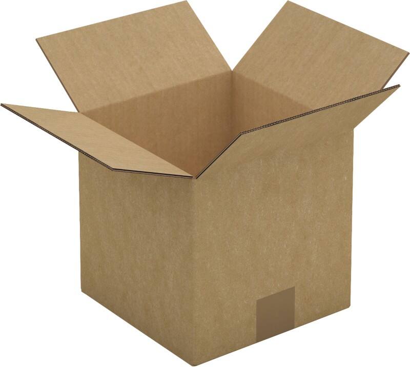 RAJA Verzenddoos Dubbele Wand Karton 200 (B) x 200 (D) x 200 (H) mm Bruin 15 Stuks