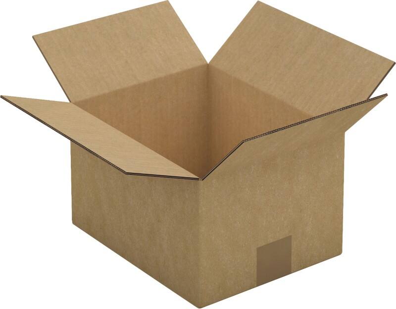 RAJA Verzenddoos Dubbele Wand Karton 200 (B) x 150 (D) x 250 (H) mm Bruin 15 Stuks