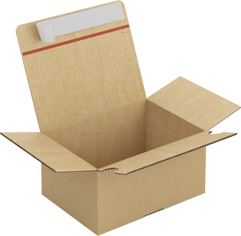 RAJA Verzenddoos Enkele Wand Karton 155 (B) x 110 (D) x 210 (H) mm Bruin 20 Stuks