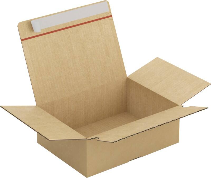RAJA Verzenddoos Enkele Wand Karton 230 (B) x 110 (D) x 310 (H) mm Bruin 20 Stuks