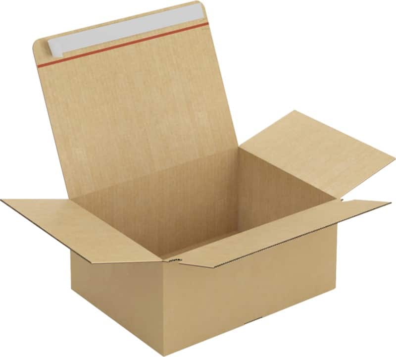 RAJA Verzenddoos Enkele Wand Karton 290 (B) x 180 (D) x 390 (H) mm Bruin 20 Stuks