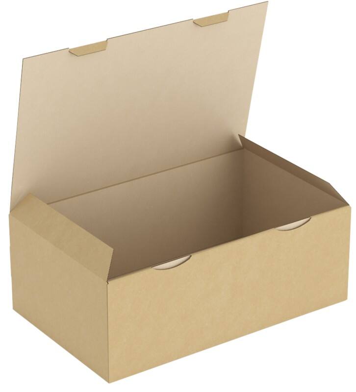RAJA Verzenddoos Enkele Wand Karton 250 (B) x 150 (D) x 400 (H) mm Bruin 50 Stuks