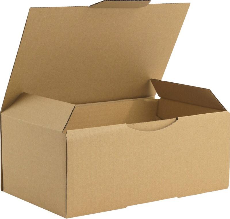 RAJA Verzenddoos Enkele Wand Karton 150 (B) x 100 (D) x 250 (H) mm Bruin 50 Stuks