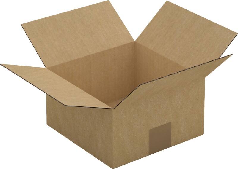 RAJA Verzenddoos Enkele Wand Karton 200 (B) x 110 (D) x 200 (H) mm Bruin 25 Stuks
