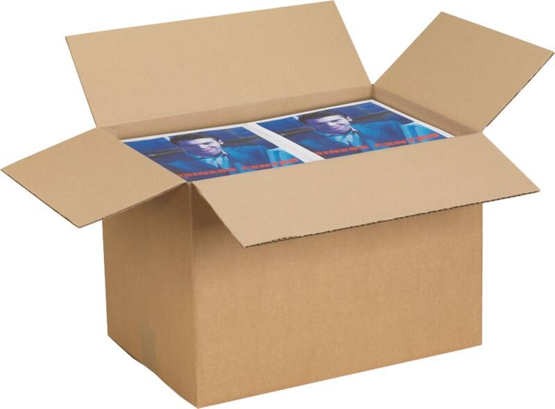 RAJA Verzenddoos Enkele Wand Karton 300 (B) x 300 (D) x 430 (H) mm Bruin 25 Stuks