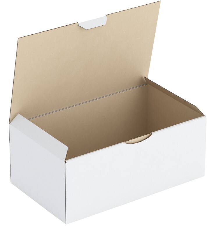 RAJA Verzenddoos Enkele Wand Karton 150 (B) x 100 (D) x 250 (H) mm Wit 50 Stuks