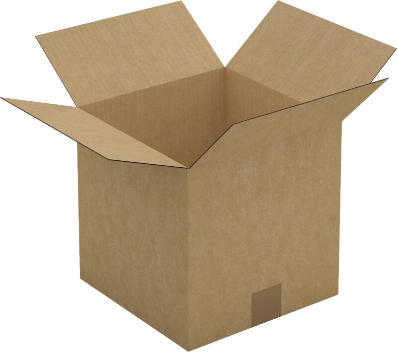 RAJA Verzenddoos Enkele Wand Karton 250 (B) x 250 (D) x 250 (H) mm Bruin 25 Stuks