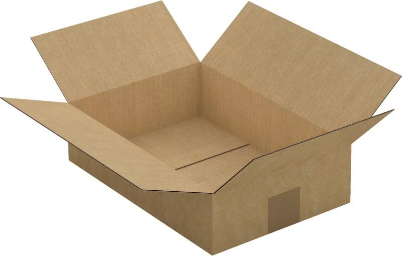 RAJA Verzenddoos Enkele Wand Karton 215 (B) x 80 (D) x 310 (H) mm Bruin 25 Stuks