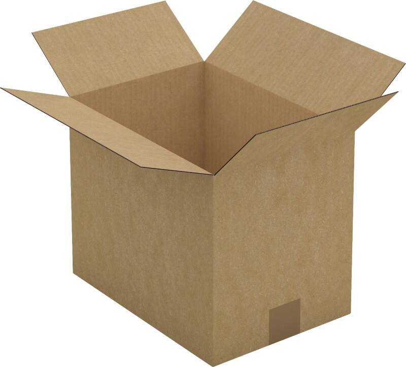RAJA Verzenddoos Enkele Wand Karton 220 (B) x 250 (D) x 310 (H) mm Bruin 25 Stuks