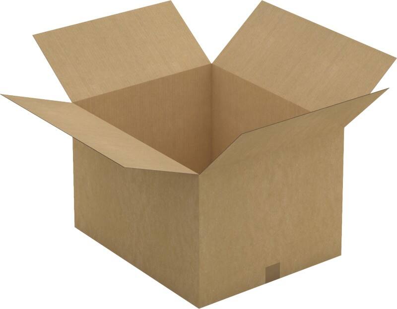 RAJA Verzenddoos Enkele Wand Karton 490 (B) x 590 (D) x 360 (H) mm Bruin 10 Stuks