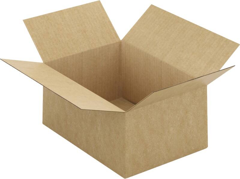 RAJA Verzenddoos Enkele Wand Karton 220 (B) x 150 (D) x 310 (H) mm Bruin 20 Stuks
