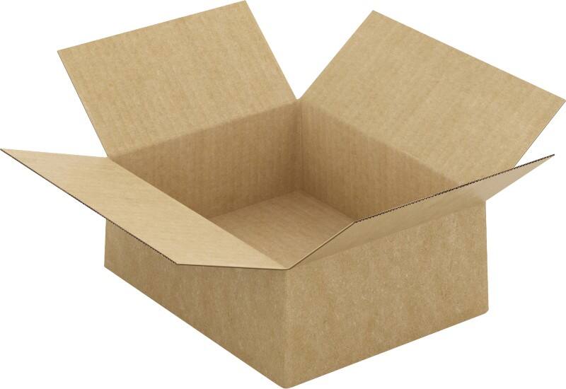 RAJA Verzenddoos Enkele Wand Karton 200 (B) x 100 (D) x 250 (H) mm Bruin 20 Stuks
