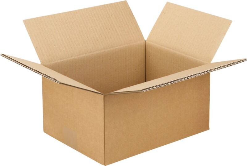 RAJA Verzenddoos Dubbele Wand Karton 220 (B) x 150 (D) x 310 (H) mm Bruin 15 Stuks