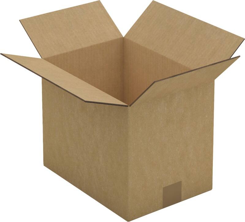 RAJA Verzenddoos Dubbele Wand Karton 220 (B) x 250 (D) x 310 (H) mm Bruin 15 Stuks