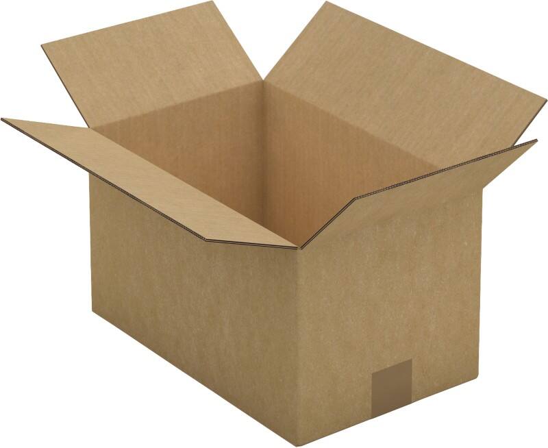 RAJA Verzenddoos Dubbele Wand Karton 220 (B) x 200 (D) x 350 (H) mm Bruin 15 Stuks