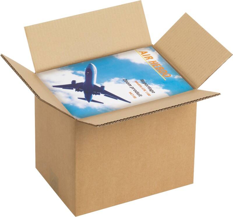 RAJA Verzenddoos Dubbele Wand Karton 310 (B) x 250 (D) x 430 (H) mm Bruin 10 Stuks
