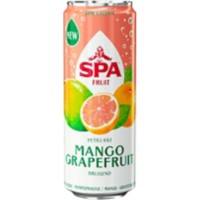 Spa Fruit Frisdrank 24 Stuks à 250 g