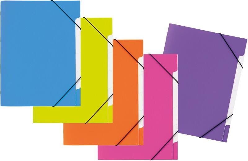 PAGNA Sorteermap A4 Effen Polypropeen 5-delig Multikleur 24,5 x 4 x 32 cm (B x D x H)