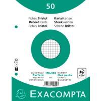 Exacompta Indexkaarten 10620E 170 x 220 mm Wit 17 x 22 x 1,1 cm Pak van 24